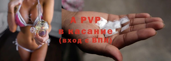 крисы Вяземский