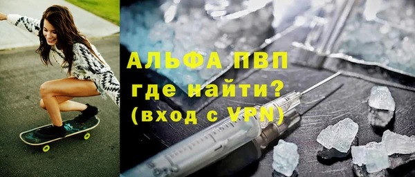 сатива Волоколамск
