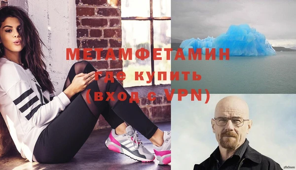 сатива Волоколамск